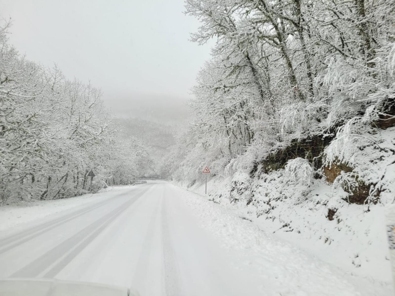 Vila Morena Corzos Buitenkant foto
